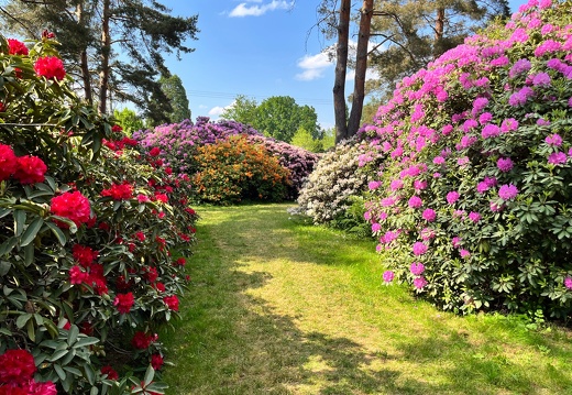 23-06-03 16-35-54 5784